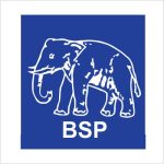 bsp (1)